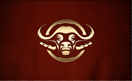 Safari-logo-1